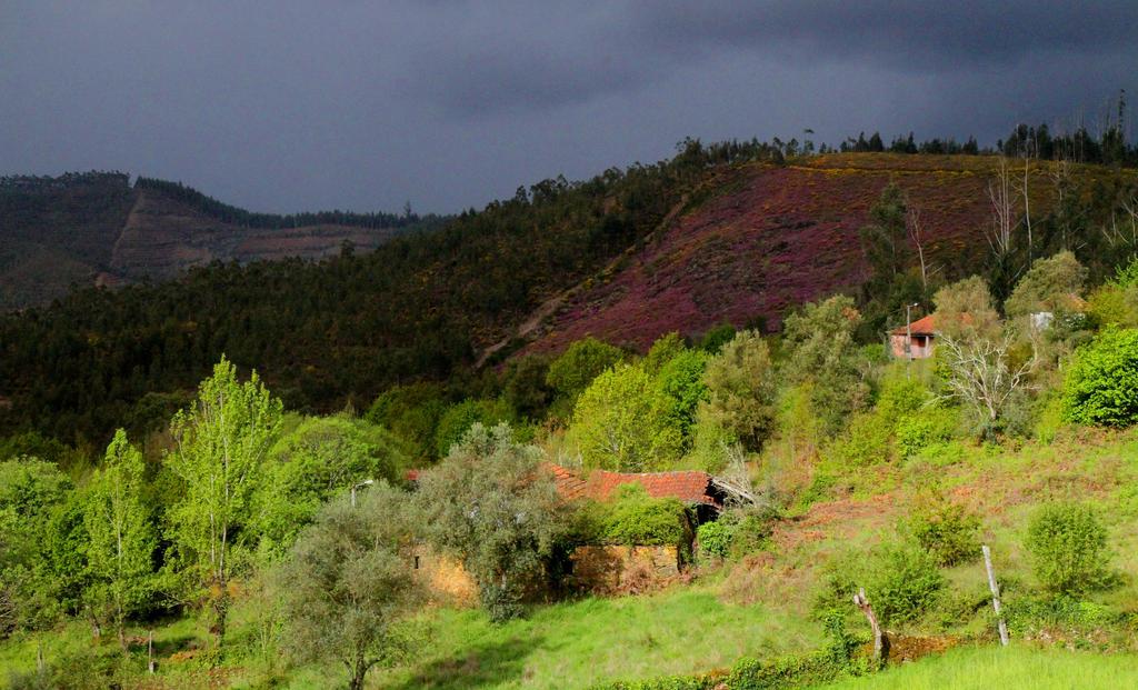 Quinta de Gildinho Exterior foto